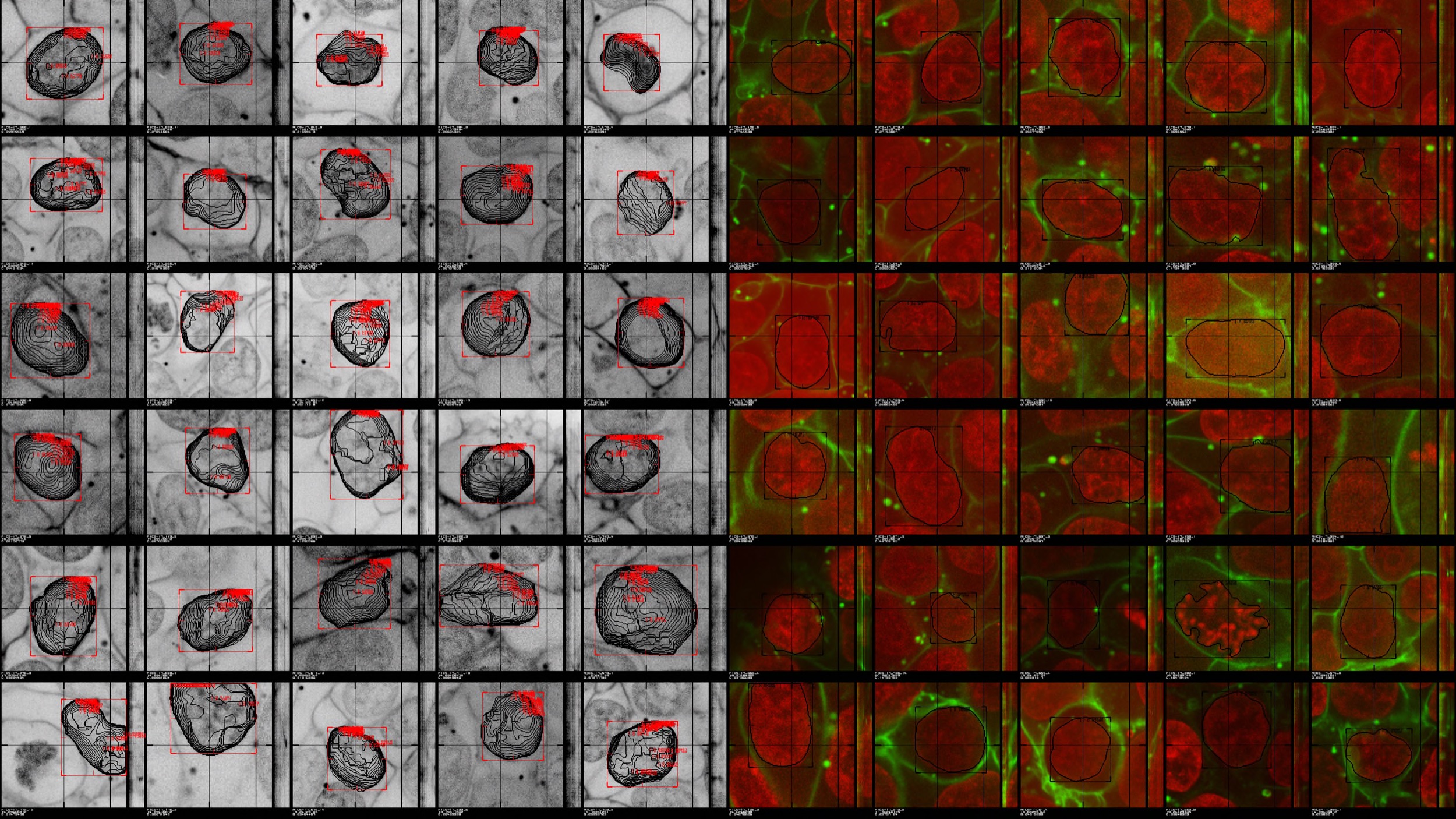 Ryoji Ikeda, Data Gram 13 Cells