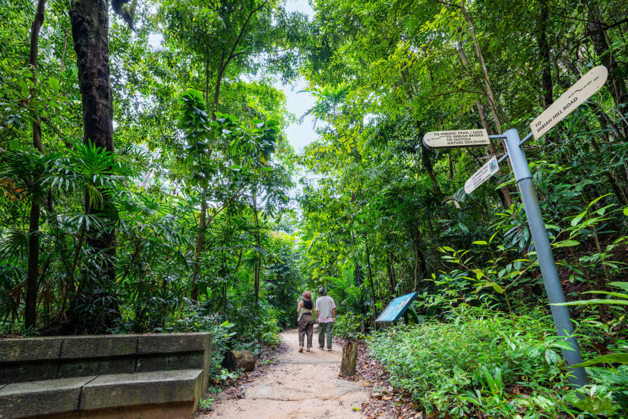 Imbiah Trail, Sentosa. Image Courtesy of Singapore Tourism Board.